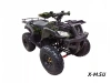 Квадроцикл WELS THUNDER 200cc HS